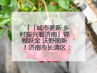 「城市更新·乡村振兴看济南」锦鲤跃金 沃野图新！济南市长清区：小锦鲤大产业 游出农旅新风景