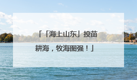 「海上山东」投苗耕海，牧海图强！