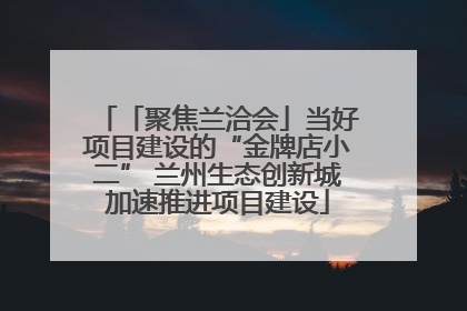 「聚焦兰洽会」当好项目建设的“金牌店小二” 兰州生态创新城加速推进项目建设