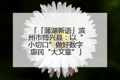「蒲湖新语」滨州市博兴县：以“小切口”做好数字惠民“大文章”