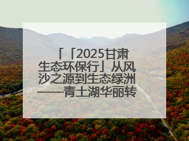 「2025甘肃生态环保行」从风沙之源到生态绿洲——青土湖华丽转身书写生态新篇