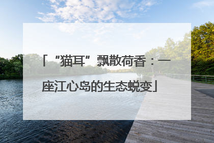 “猫耳”飘散荷香：一座江心岛的生态蜕变