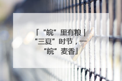 “皖”里有粮|“三夏”时节,一“皖”麦香