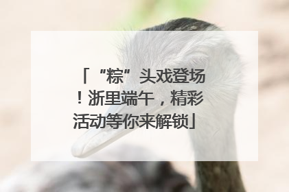 “粽”头戏登场！浙里端午，精彩活动等你来解锁