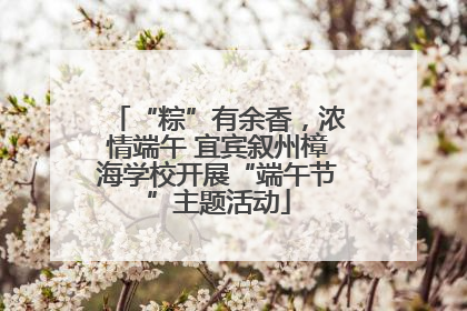 “粽”有余香，浓情端午 宜宾叙州樟海学校开展“端午节”主题活动
