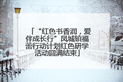 “红色书香润，爱伴成长行”凤城镇福蕾行动计划红色研学活动圆满结束