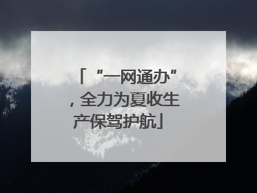 “一网通办”，全力为夏收生产保驾护航