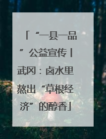 “一县一品”公益宣传丨武冈：卤水里熬出“草根经济”的醇香