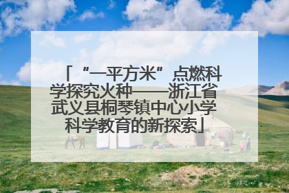 “一平方米”点燃科学探究火种——浙江省武义县桐琴镇中心小学科学教育的新探索