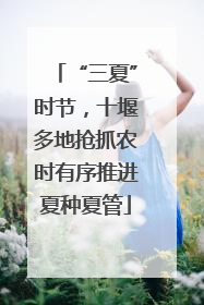 “三夏”时节，十堰多地抢抓农时有序推进夏种夏管