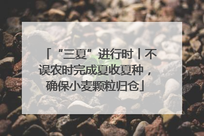 “三夏”进行时丨不误农时完成夏收夏种，确保小麦颗粒归仓