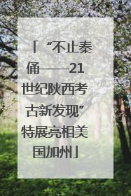 “不止秦俑——21世纪陕西考古新发现”特展亮相美国加州