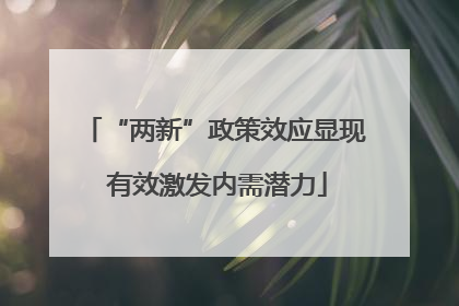 “两新”政策效应显现 有效激发内需潜力