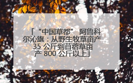 “中国草都” 阿鲁科尔沁旗：从野生牧草亩产 35 公斤到苜蓿草亩产 800 公斤以上