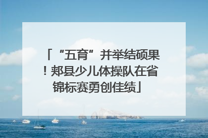 “五育”并举结硕果！郏县少儿体操队在省锦标赛勇创佳绩