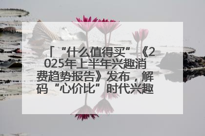 “什么值得买”《2025年上半年兴趣消费趋势报告》发布，解码“心价比”时代兴趣消费新范式