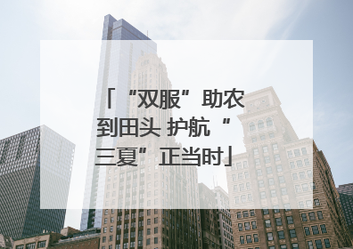 “双服”助农到田头 护航“三夏”正当时