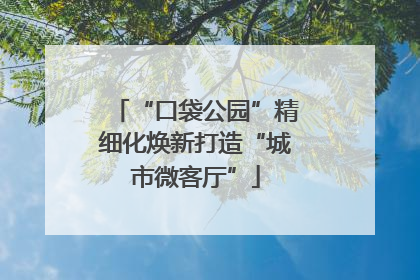 “口袋公园”精细化焕新打造“城市微客厅”