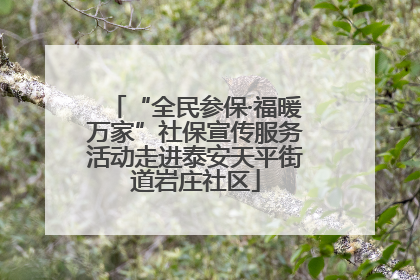 “全民参保·福暖万家”社保宣传服务活动走进泰安天平街道岩庄社区