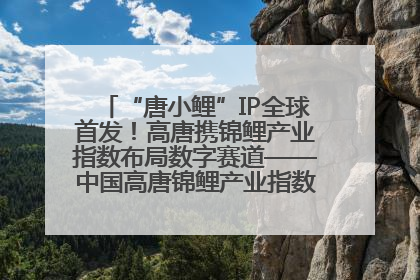 “唐小鲤”IP全球首发！高唐携锦鲤产业指数布局数字赛道——中国高唐锦鲤产业指数暨“唐小鲤”IP全球首发仪式在杭州举行