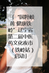 “国粹岐黄 健康铁岭”辽宁省第二届中医药文化夜市（铁岭站）启动