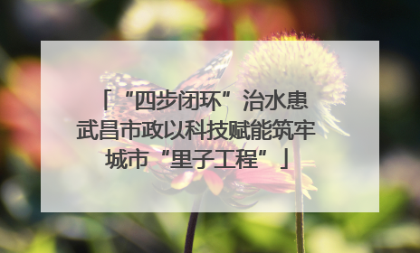 “四步闭环”治水患 武昌市政以科技赋能筑牢城市“里子工程”