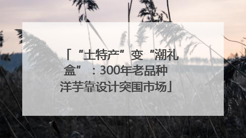 “土特产”变“潮礼盒”：300年老品种洋芋靠设计突围市场
