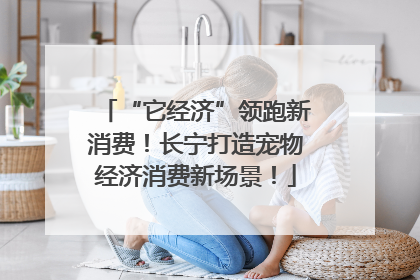 “它经济”领跑新消费！长宁打造宠物经济消费新场景！