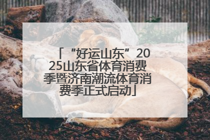 “好运山东”2025山东省体育消费季暨济南潮流体育消费季正式启动