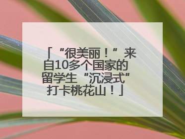 “很美丽！”来自10多个国家的留学生“沉浸式”打卡桃花山！