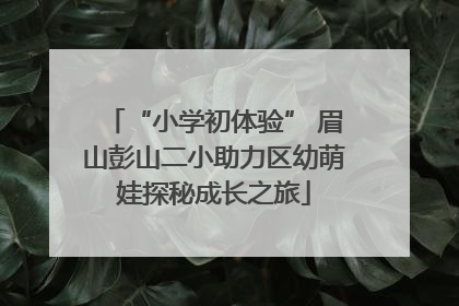 “小学初体验” 眉山彭山二小助力区幼萌娃探秘成长之旅