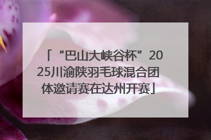 “巴山大峡谷杯”2025川渝陕羽毛球混合团体邀请赛在达州开赛