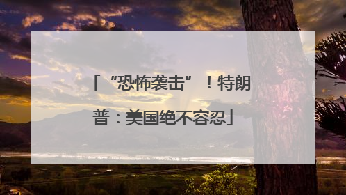 “恐怖袭击”！特朗普：美国绝不容忍