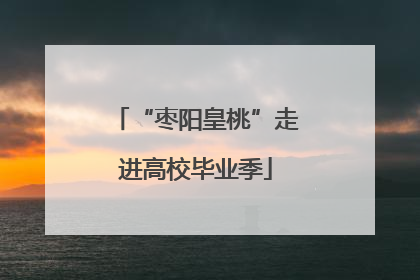 “枣阳皇桃”走进高校毕业季