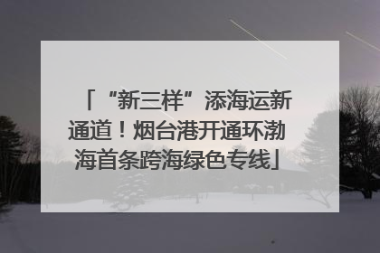 “新三样”添海运新通道！烟台港开通环渤海首条跨海绿色专线