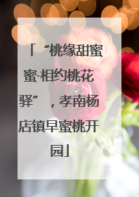 “桃缘甜蜜蜜·相约桃花驿”，孝南杨店镇早蜜桃开园