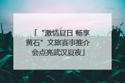 “激情夏日 畅享黄石”文旅赛事推介会点亮武汉夏夜