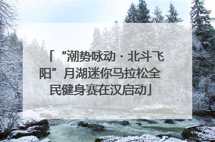 “潮势咏动・北斗飞阳”月湖迷你马拉松全民健身赛在汉启动