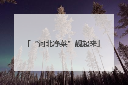 “河北净菜”靓起来