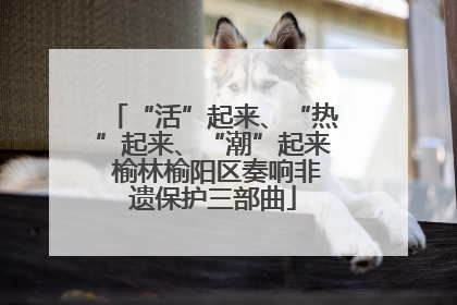 “活”起来、“热”起来、“潮”起来 榆林榆阳区奏响非遗保护三部曲