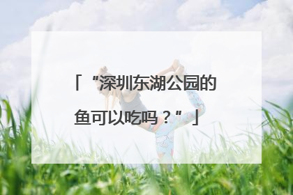 “深圳东湖公园的鱼可以吃吗？”