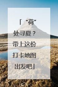 “荷”处寻夏？带上这份打卡地图出发吧