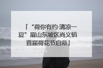 “荷你有约·清凉一夏”眉山东坡区尚义镇首届荷花节启幕