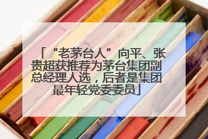 “老茅台人”向平、张贵超获推荐为茅台集团副总经理人选，后者是集团最年轻党委委员