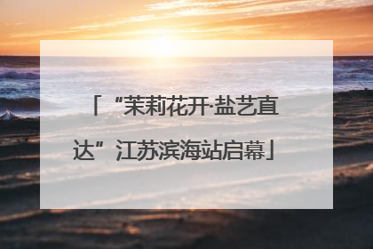 “茉莉花开·盐艺直达”江苏滨海站启幕