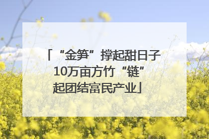 “金笋”撑起甜日子 10万亩方竹“链”起团结富民产业