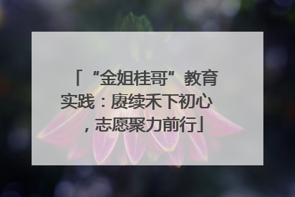 “金姐桂哥”教育实践：赓续禾下初心，志愿聚力前行