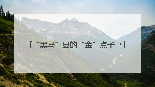 “黑马”县的“金”点子→