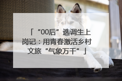 “00后”选调生上岗记：用青春激活乡村文旅“气象万千”