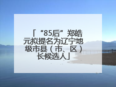 “85后”郑皓元拟提名为辽宁地级市县（市、区）长候选人
